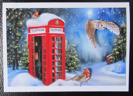 Telephone Box Snow Scene by Davina Rundle