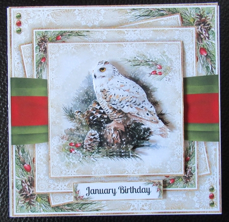 Beautiful Owl No.4 by Davina Rundle