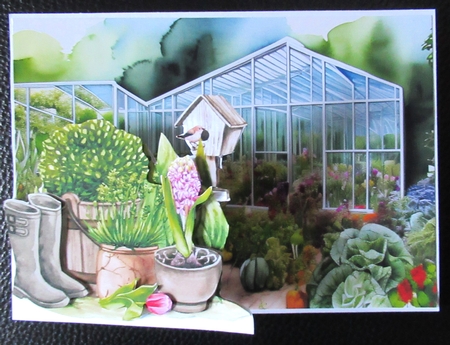 Flowers and vegetables by Davina Rundle