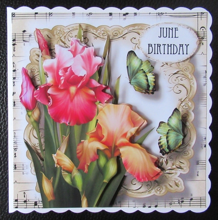 Fabulous Floral With Sheet Music - Blush Iris by Davina Rundle