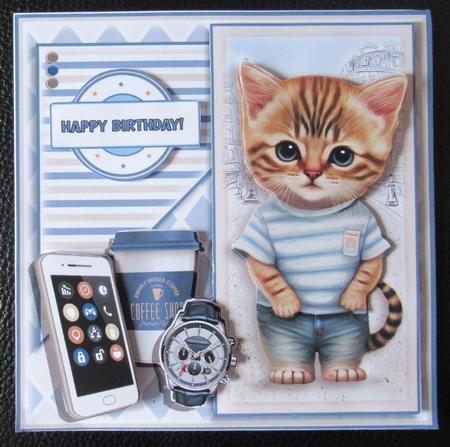 The Cool Cat by Davina Rundle