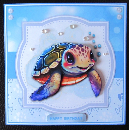 BIRTHDAY TURTLE by Davina Rundle