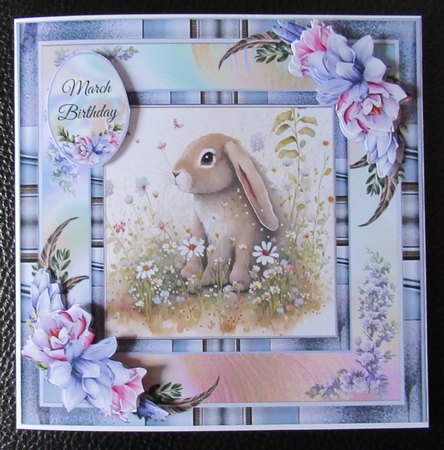 Cute Animal Collection  by Davina Rundle