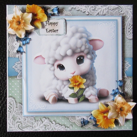 Spring Lamb  by Davina Rundle