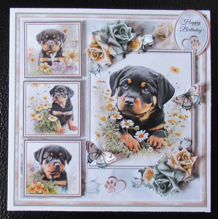 Rottweiler Puppy Collage Mini Page Kit by Davina Rundle
