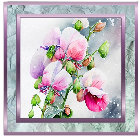 SC Sweet peas 1 by Davina Rundle