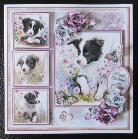Cute Puppy Collage Collection 2 by Davina Rundle