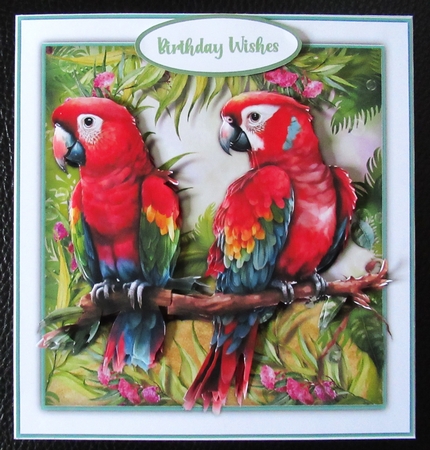 8x8 Mini Kit, Beautiful Red Parrotts  by Davina Rundle