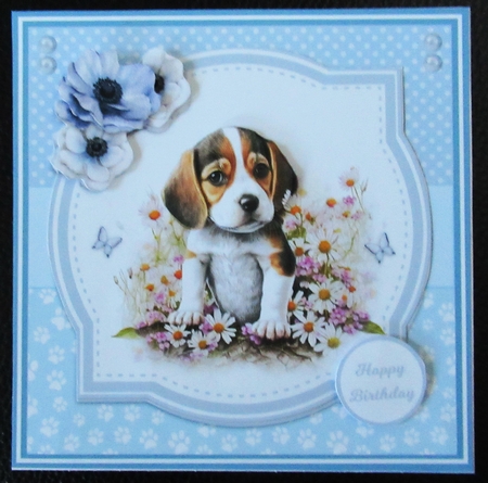 BEAGLES kit - make 4 cards by Davina Rundle