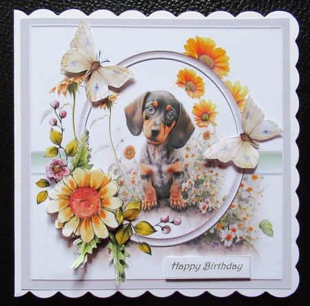 Baby Dachshund and flowers 7x7 by Davina Rundle