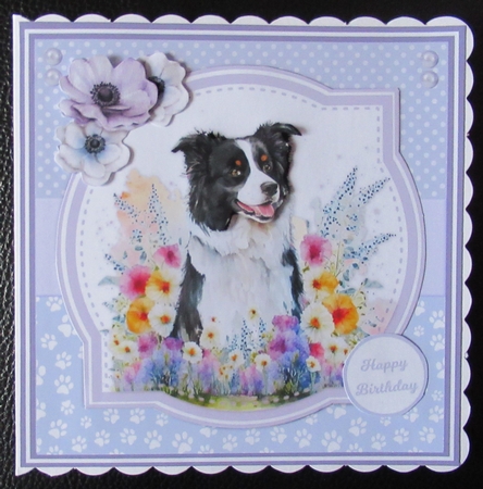 WILDFLOWER DOGS  set 1 by Davina Rundle