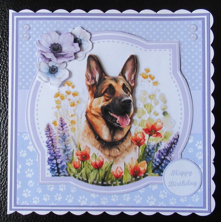 WILDFLOWER DOGS  set 1 by Davina Rundle