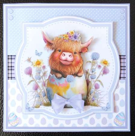 EASTER  HIGHLAND COWS by Davina Rundle