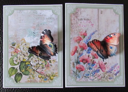 2 Floral butterfly card front/toppers 4 by Davina Rundle