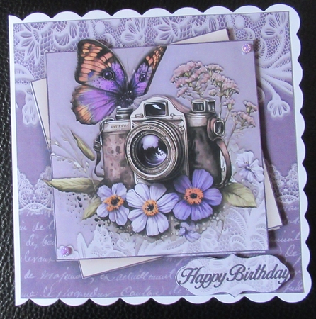 Butterflies & Cameras Mini Kit #4 by Davina Rundle