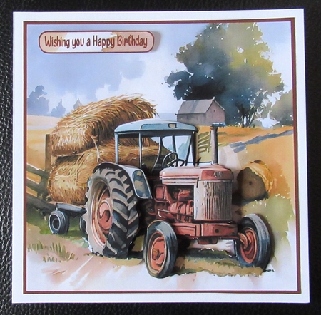 Hay Making by Davina Rundle