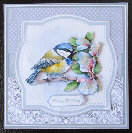 BEAUTIFUL BIRDS set 2 by Davina Rundle