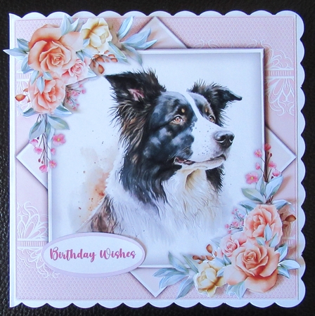 8x8 Mini Kit  Beautiful Border Collie with Roses by Davina Rundle