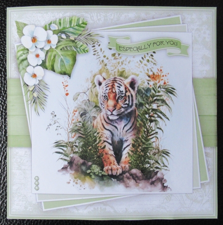 Tiger Cub Mini Kit by Davina Rundle