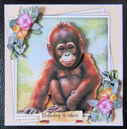 7x7 Mini Kit Gorgeous  Asian Chimp  by Davina Rundle