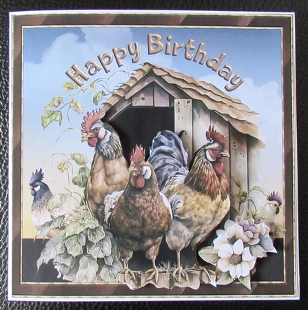 Chicken Run by Davina Rundle