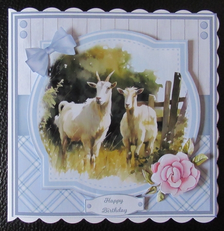 FARM LIFE by Davina Rundle