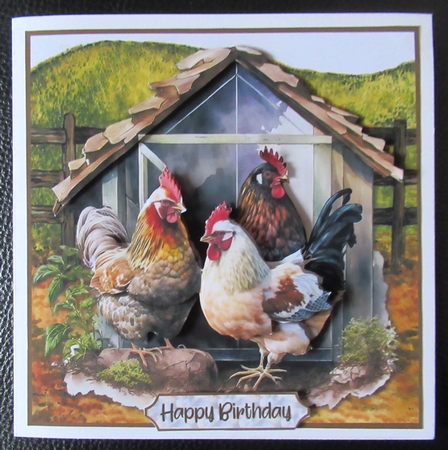 Backyard Chickens by Davina Rundle