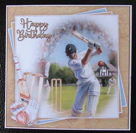 Cricket Lover Bumper Kit     by Davina Rundle