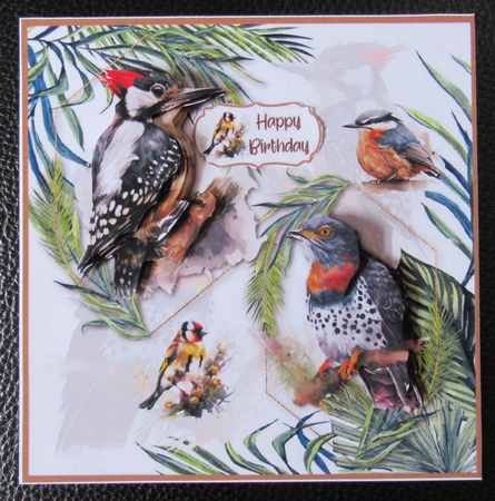 Feathered Friends 7x7 by Davina Rundle