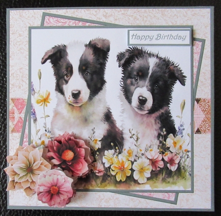 Collie pups and flowers 7x7 by Davina Rundle