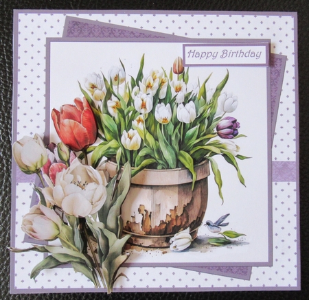 Spring tulips 7x7 by Davina Rundle