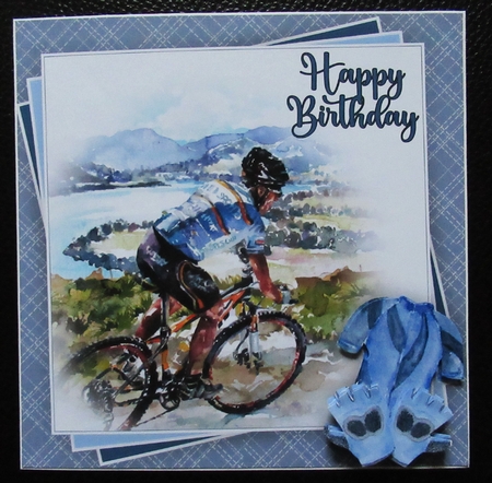 The Cyclist Bumper Kit    by Davina Rundle