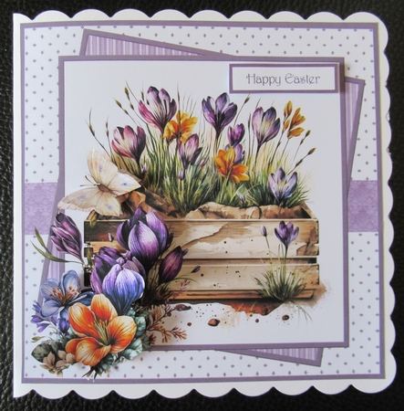 Crocus and butterfly 7x7 by Davina Rundle