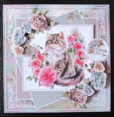 Paws And Flowers Collection by Davina Rundle