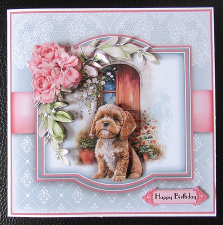 My Home The Cockerpoo by Davina Rundle