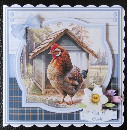 HOME TO ROOST 6X6 by Davina Rundle