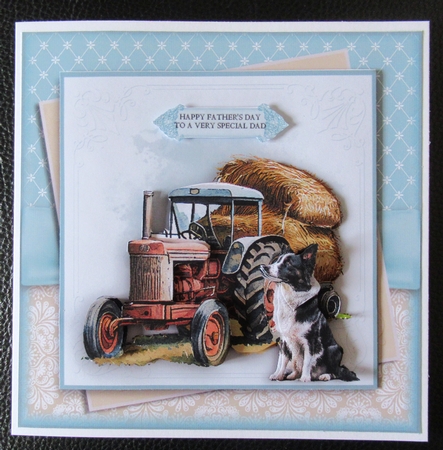 The Border Collie  by Davina Rundle