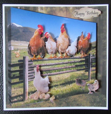 the chickens by Davina Rundle