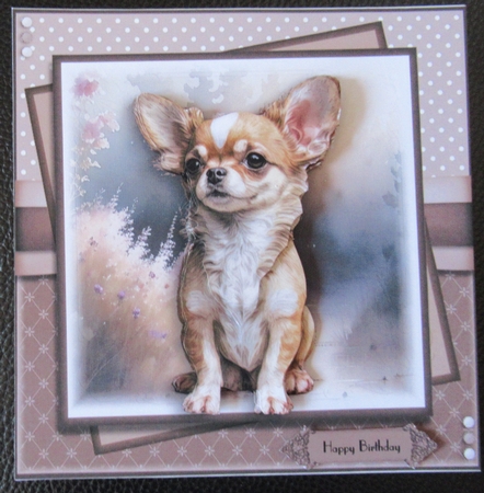 Happy dog Chihuahua by Davina Rundle