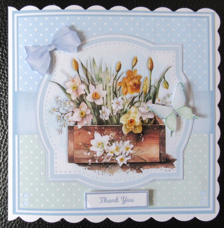 DAFFODILS by Davina Rundle