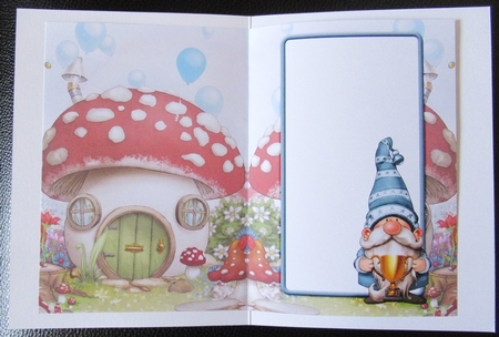Trophy Gnome Insert by Davina Rundle