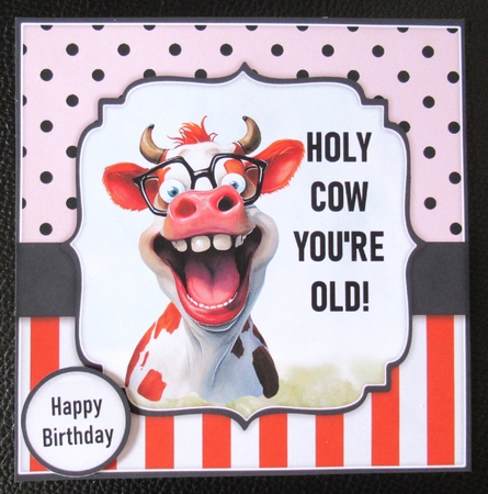 Holy Cow by Davina Rundle