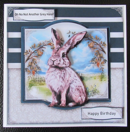 The Hare by Davina Rundle