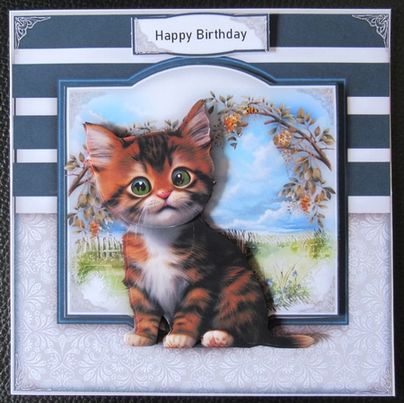 Cute Kitty  by Davina Rundle