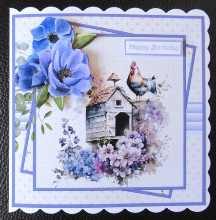 Hen house and anemone 7x7 by Davina Rundle