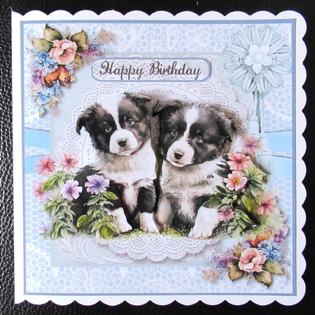 Border Collies by Davina Rundle