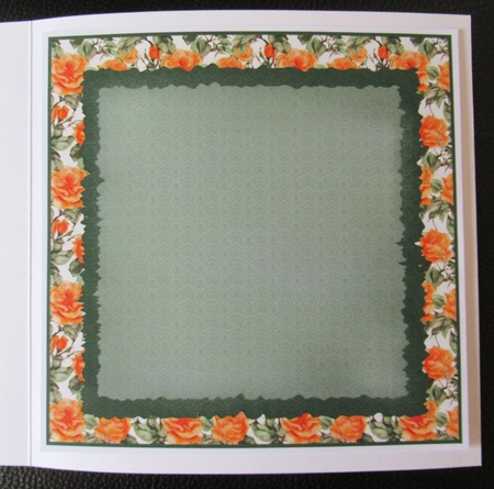 Orange rose insert 1 by Davina Rundle