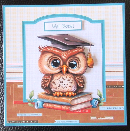 Graduation owl 7x7 by Davina Rundle