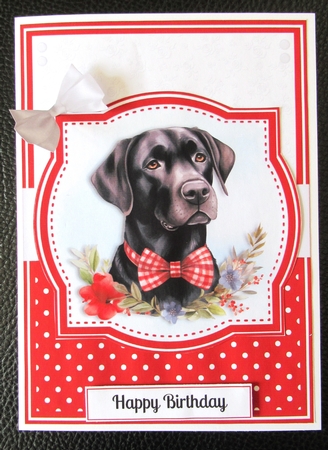 HAPPY LABS by Davina Rundle