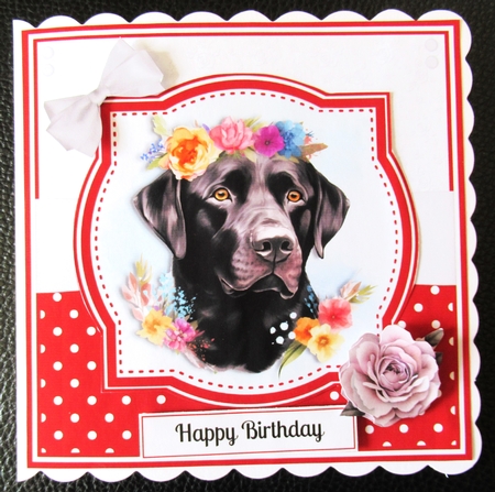 HAPPY LABS by Davina Rundle